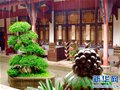 新华网:重庆一中获“全国最美校园书屋”称号 阅读环境清幽自然